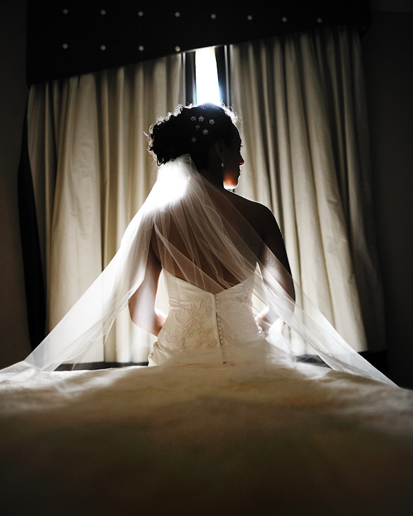 partly silhouetted shot in window light - back of brides dress and full length veil - side profile of brides face - photo by New York City based wedding photographer Ryan Brenizer